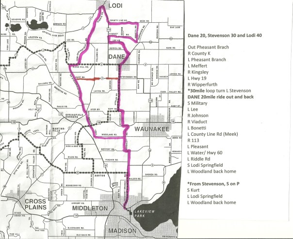 Lodi Canning 40 30 20